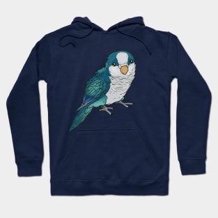 blue quaker Hoodie